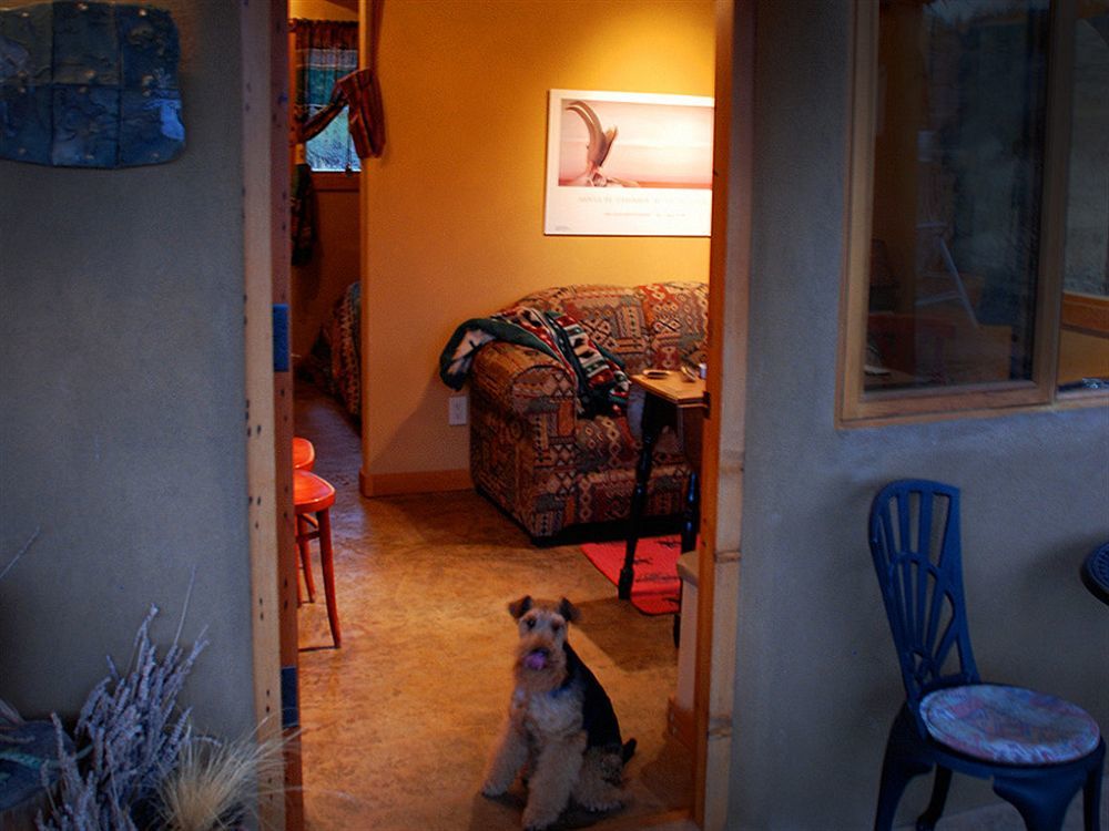 Okanagan Falls Bighorn Ridge Guesthouse מראה חיצוני תמונה