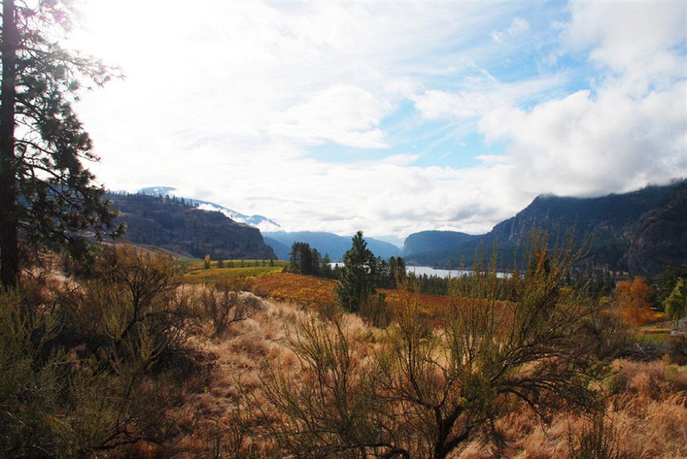 Okanagan Falls Bighorn Ridge Guesthouse מראה חיצוני תמונה