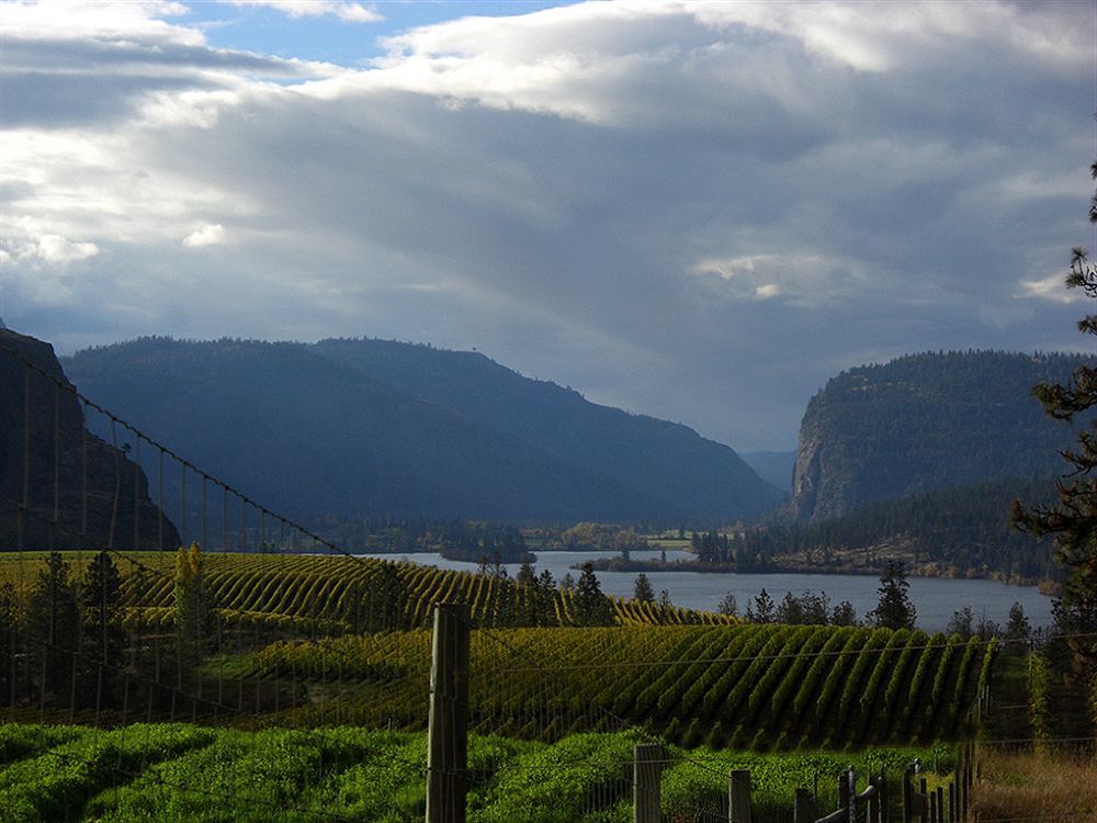 Okanagan Falls Bighorn Ridge Guesthouse מראה חיצוני תמונה