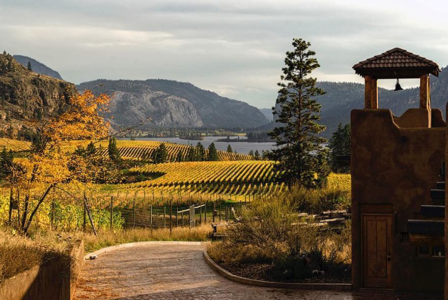 Okanagan Falls Bighorn Ridge Guesthouse מראה חיצוני תמונה