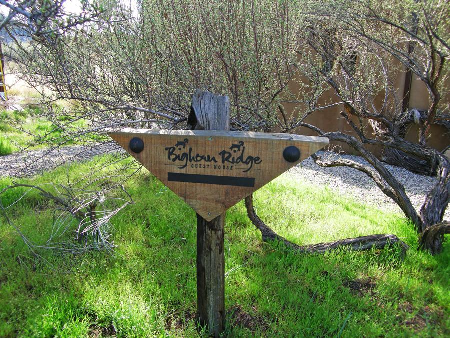 Okanagan Falls Bighorn Ridge Guesthouse מראה חיצוני תמונה