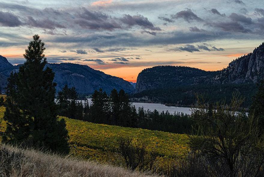 Okanagan Falls Bighorn Ridge Guesthouse מראה חיצוני תמונה